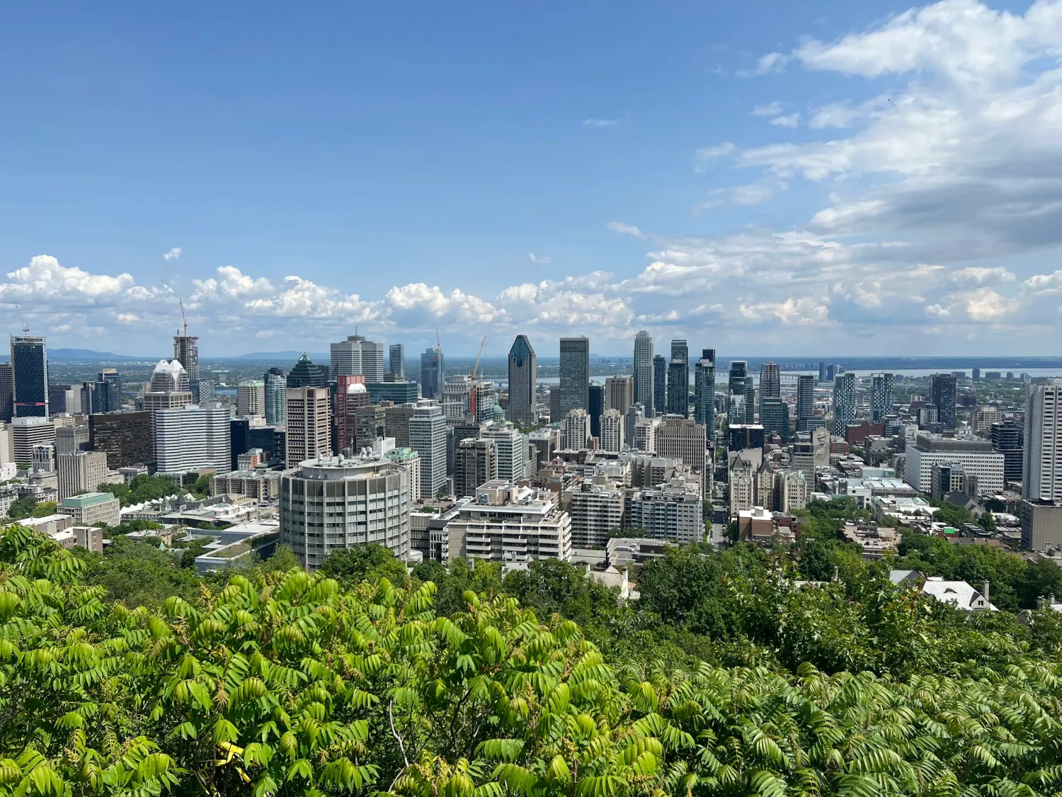 The view from the top of Mount Royal.